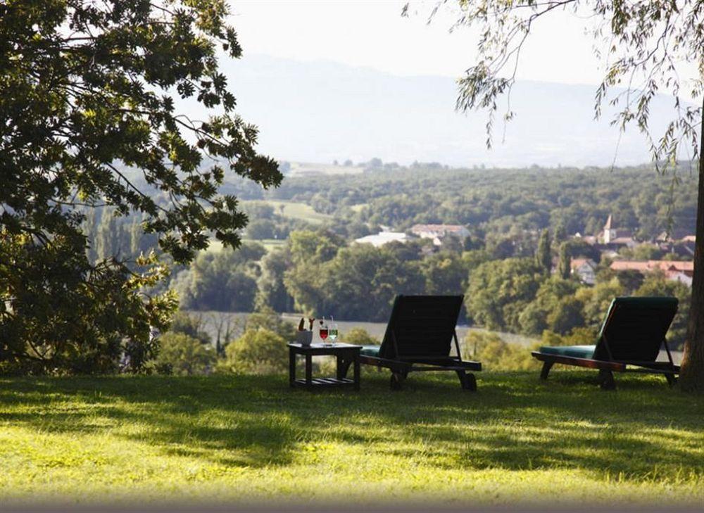 Domaine De Chateauvieux Hotel Peney Dessus Exterior photo