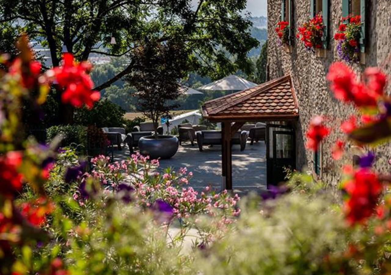 Domaine De Chateauvieux Hotel Peney Dessus Exterior photo