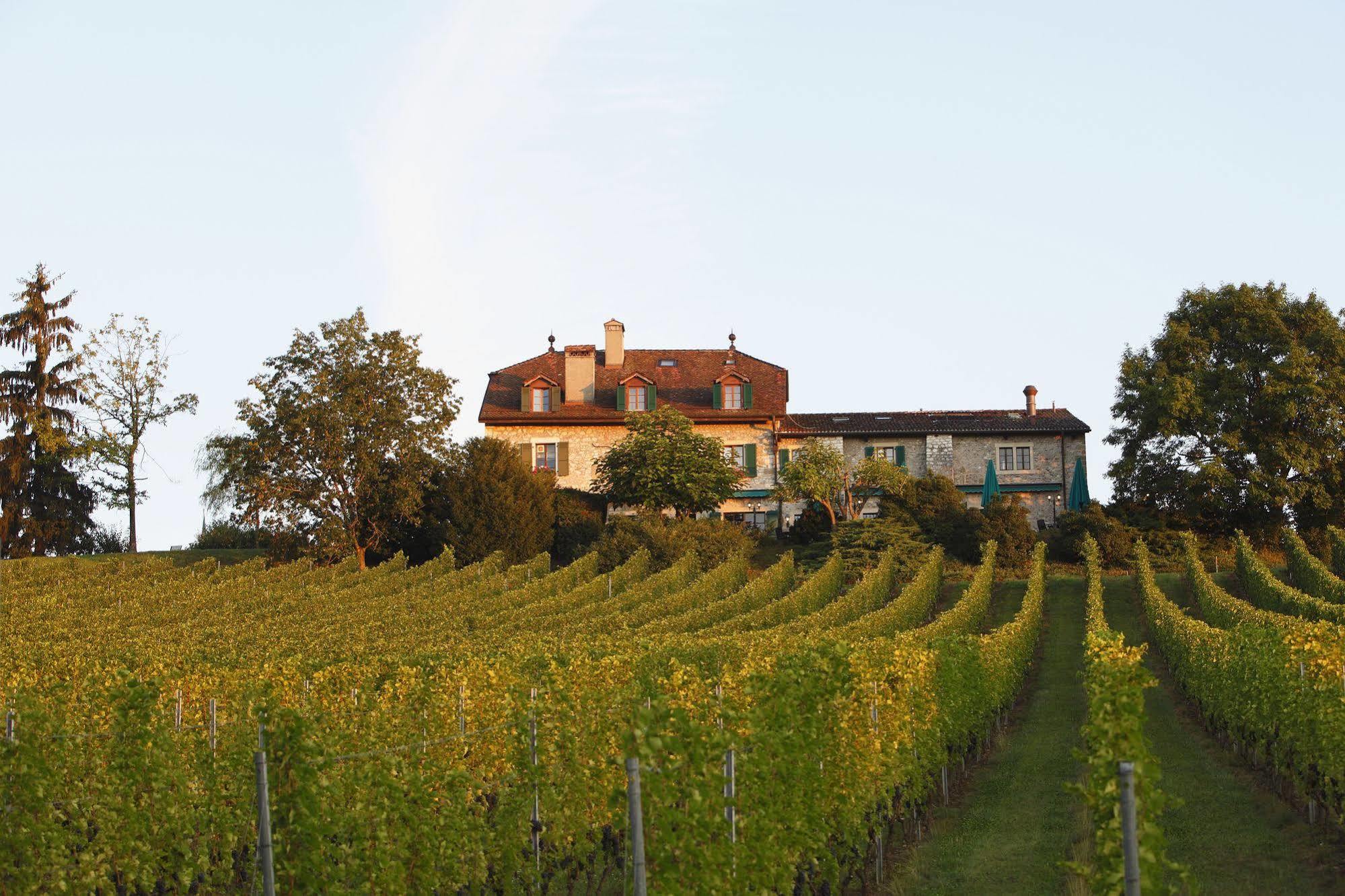 Domaine De Chateauvieux Hotel Peney Dessus Exterior photo